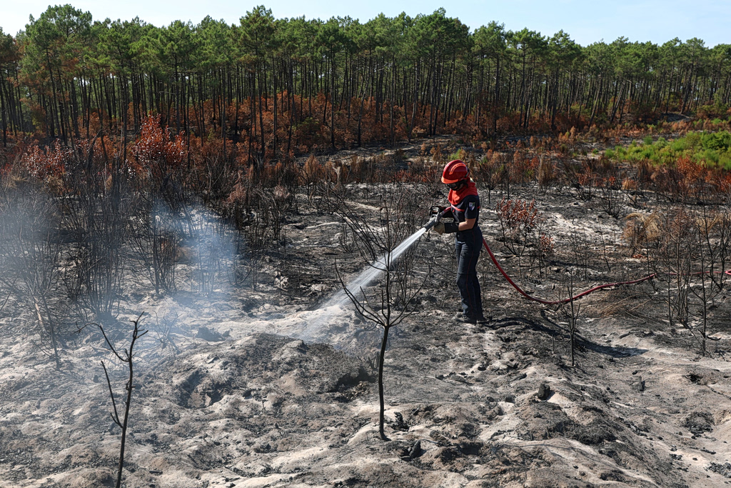 Europe’s Wildfires Already Cost Over €3 Billion in 2026