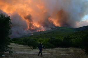 Why Greece Faces Devastating Wildfires Every Summer