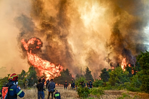 Boeotia Wildfire Probe Leads to Mayor’s Arrest