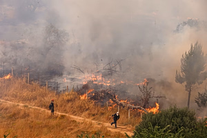 Wildfire Near Ancient Olympia Triggers Large Ground, Air Response