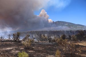 Fatal Copter Collision Overshadows Wildfire Battle as Criminal Probe Expands