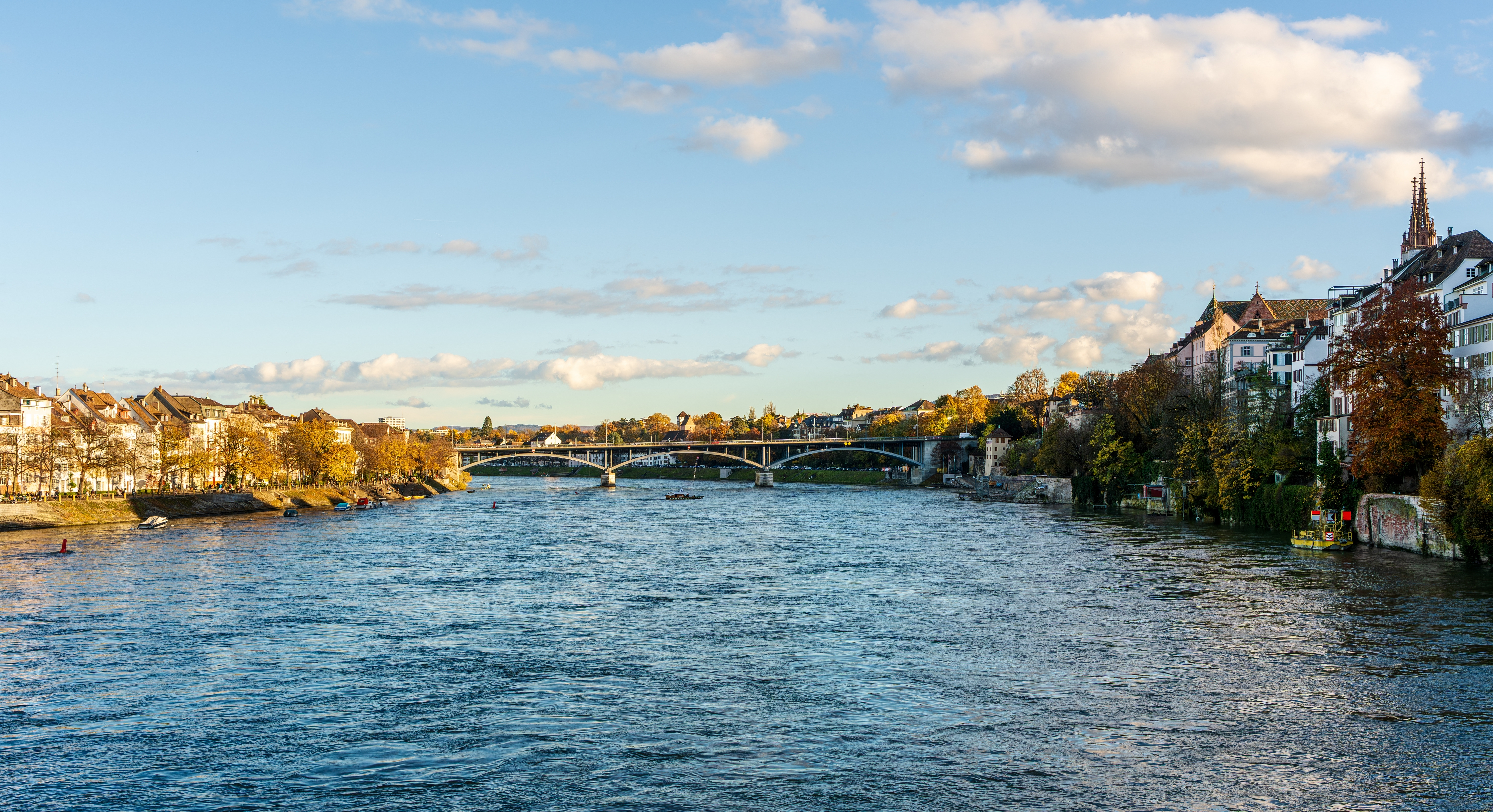 Rhine and Danube Hit by Drought and Extreme Heat