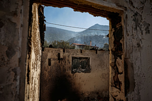 Three 13-Year-Olds Identified over Attempted Forest Arson in Penteli
