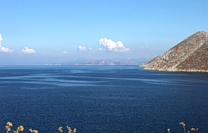 October Set As Milestone Month For Marine Parks