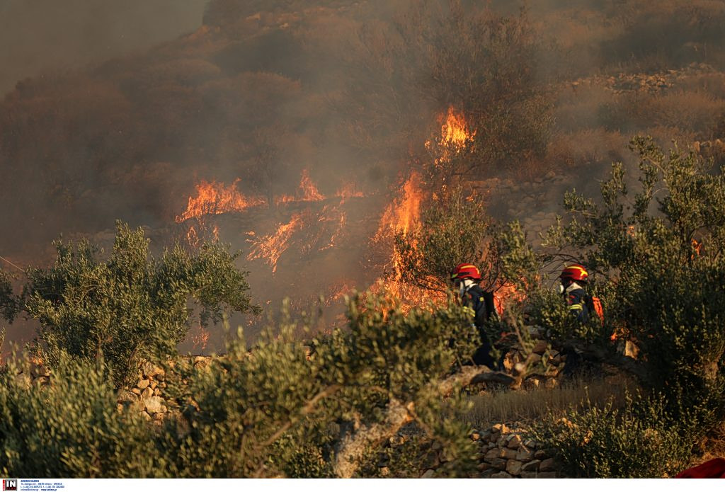 Fire Smoke Exposure Risks and Symptoms to Watch For