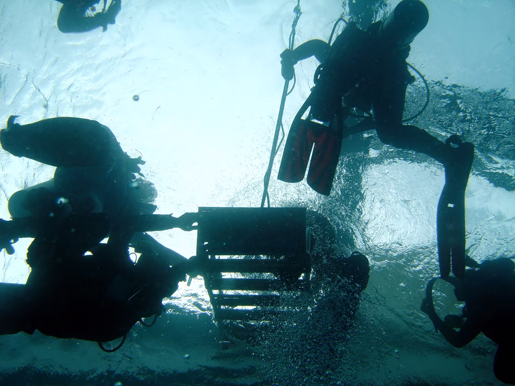 Skopelos Coral Smuggling Probe Uncovers €800,000 Haul