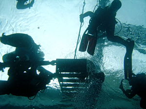 Skopelos Coral Smuggling Probe Uncovers €800,000 Haul