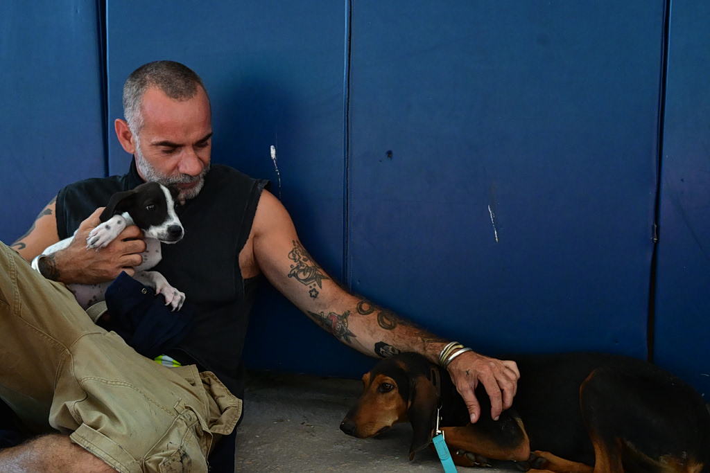 Rescue Effort Continues for Animals After Attica Wildfires