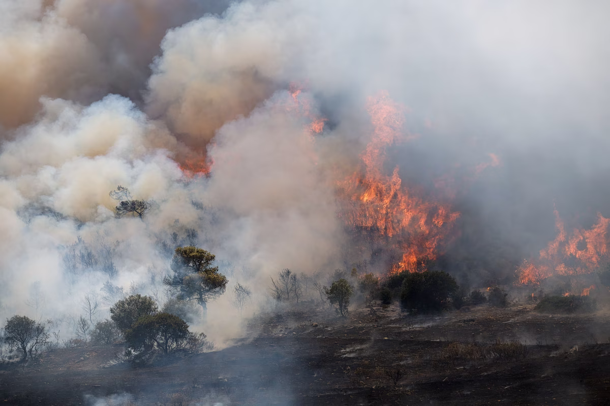WEF: Wildfires Hit the Poor Hardest, Report Finds