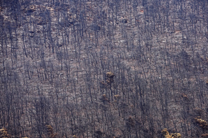 Timelapse Captures Wildfire’s Rapid Spread to Porto Germeno