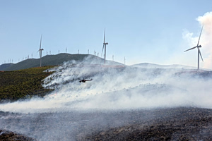 Report Links Greece Wildfire to Power Line Short Circuit