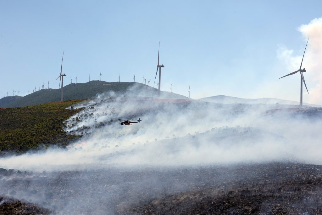 Report Links Greece Wildfire to Power Line Short Circuit