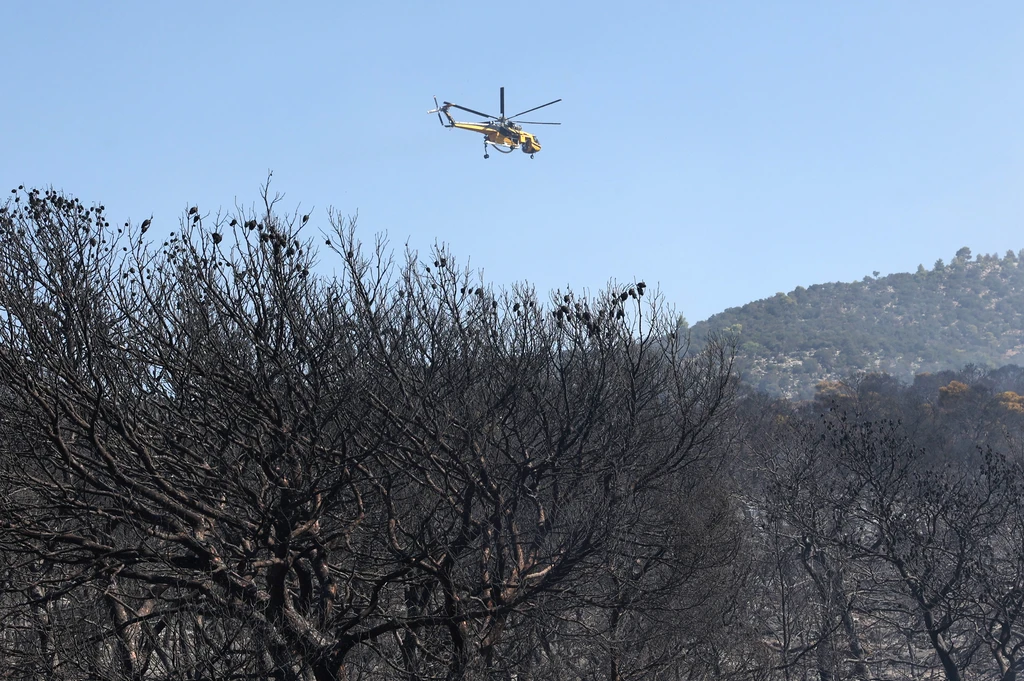 Survivor Describes Fatal Helicopter Crash