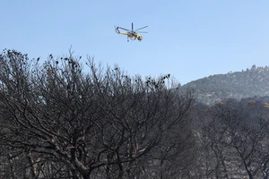 Survivor Describes Fatal Helicopter Crash