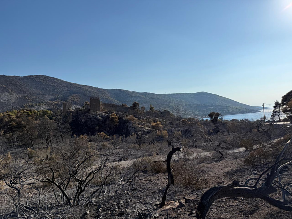 Wind Farm in Boeotia Shut Down Over Massive Wildfire