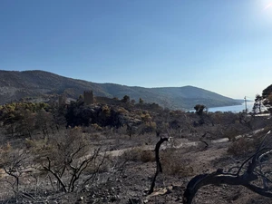 Wind Farm in Boeotia Shut Down Over Massive Wildfire