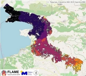 Nighttime Surges Accounted for More Than Half of Burned Area in Major Wildfire: Study