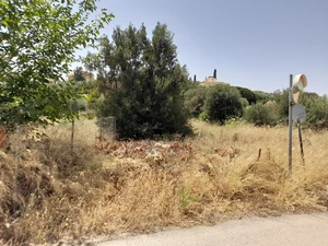 Greece Steps Up Checks on Overgrown Fire-Risk Lots