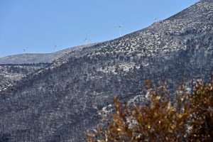 Nationwide Probe Into Wind Farms After Boeotia Fire