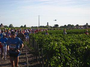 Wine, Cheese and 26.2 Miles: What Could Go Wrong?