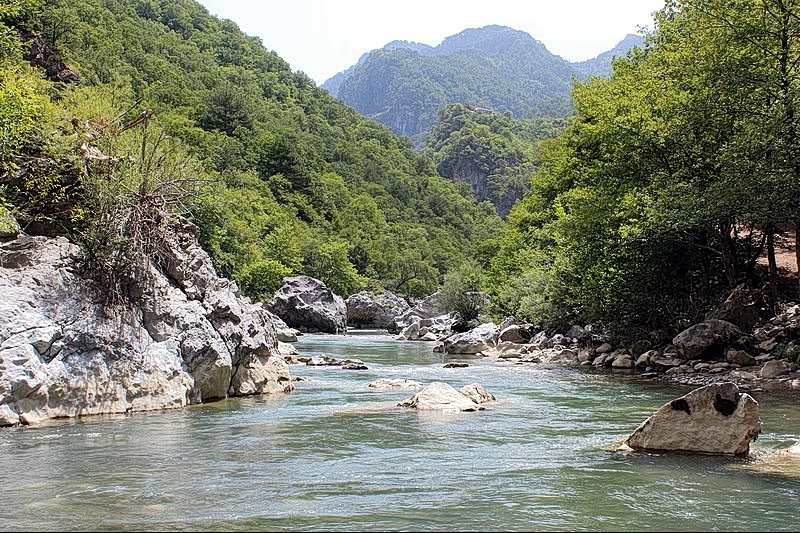 Aoos Wild Trout Face Threats from Climate Change, Fish Farming