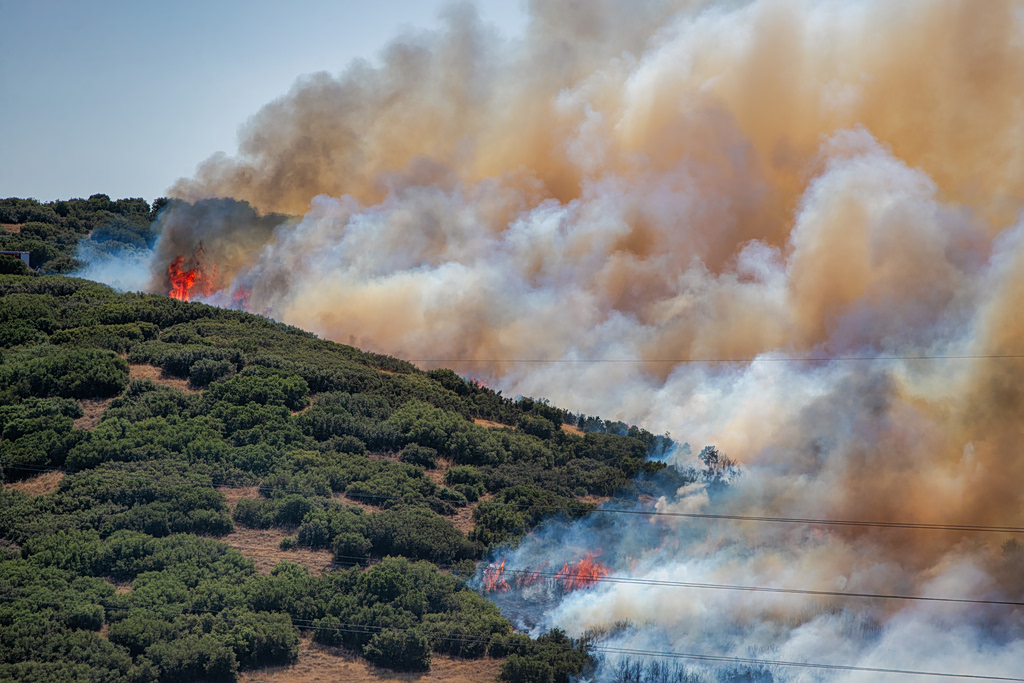 Greece Faces Extreme Wildfire Risk on Thursday