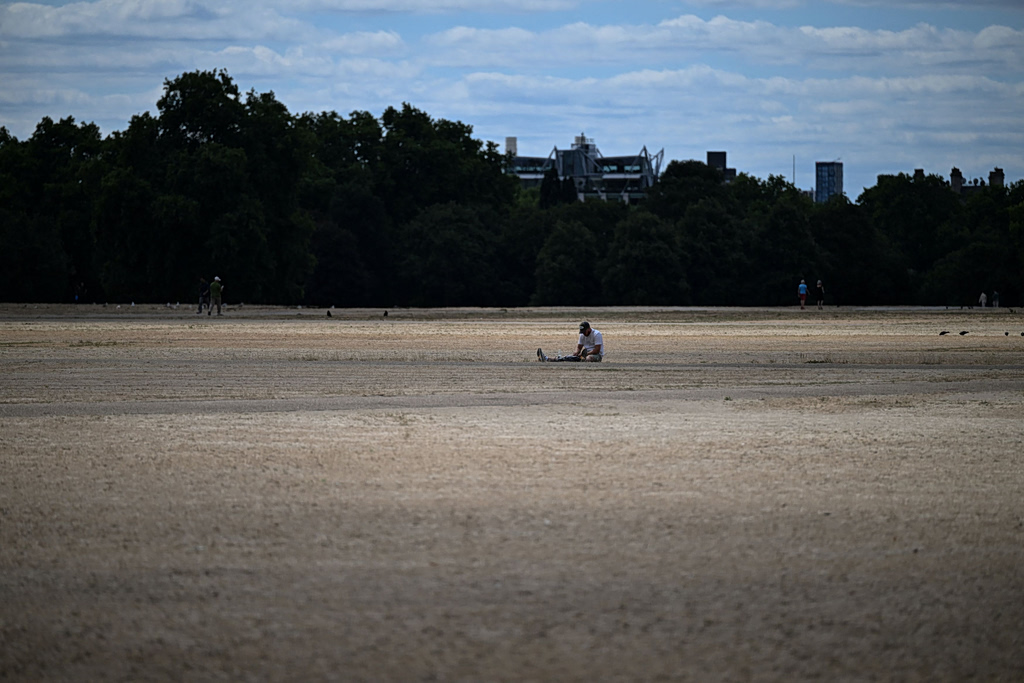 Why Hyde Park’s Grass In Britain Turned Yellow