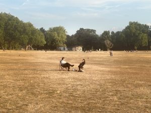 Britain turns yellow: Why Hyde Park’s grass has changed colour