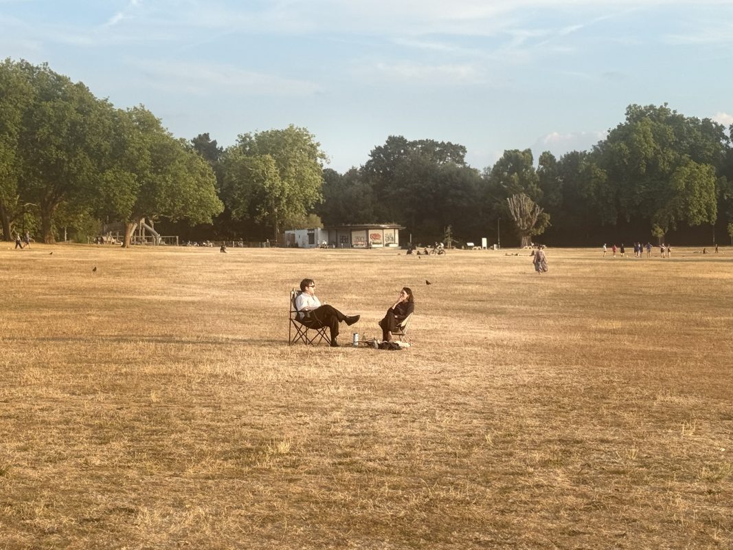 Britain turns yellow: Why Hyde Park’s grass has changed colour