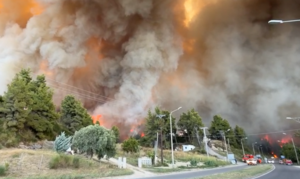 Wildfire Rages on Halkidiki Peninsula; Massive Mobilization