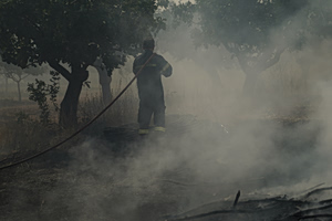 Climate Change Demands a New Approach to Wildfire Prevention