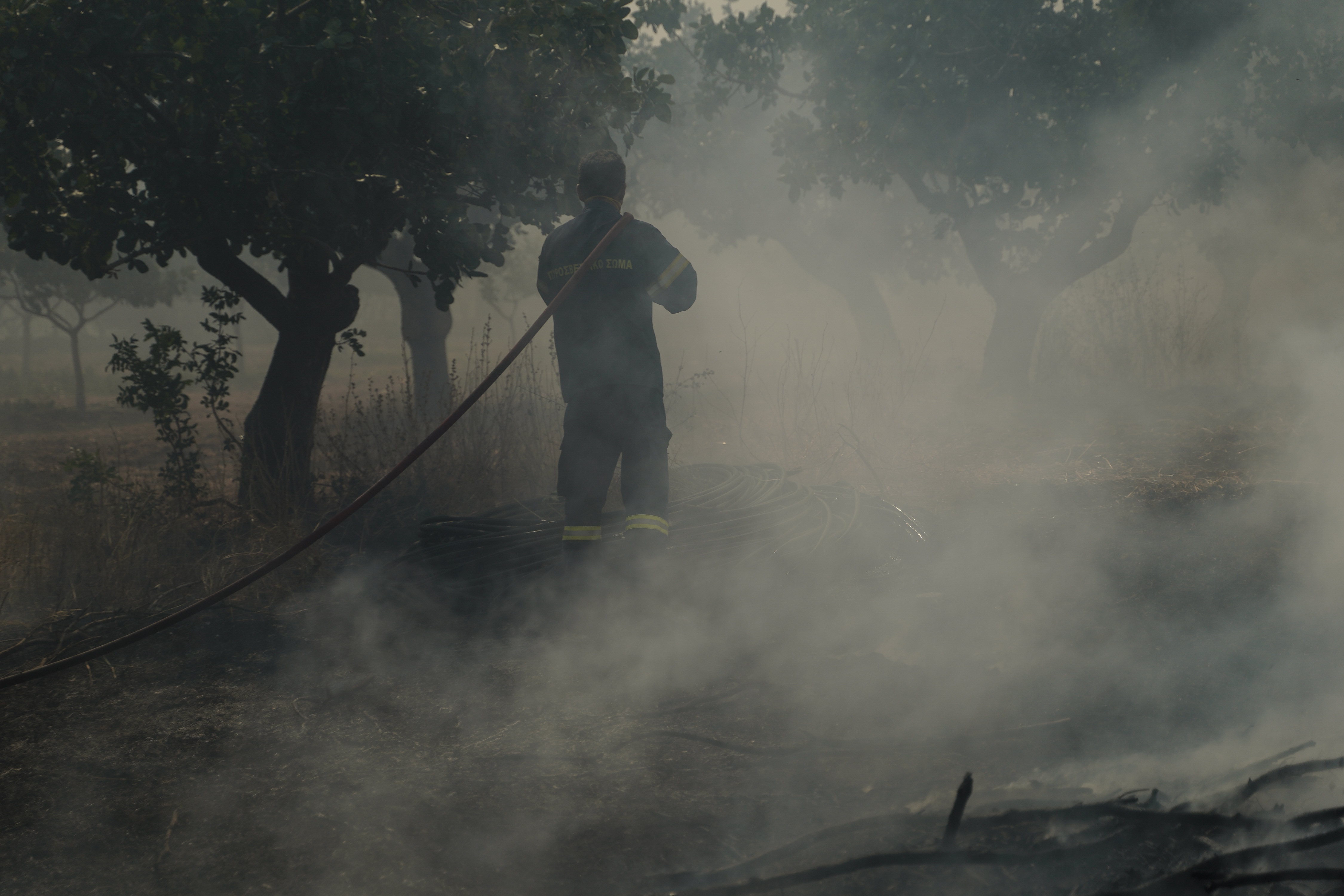 Climate Change Demands a New Approach to Wildfire Prevention