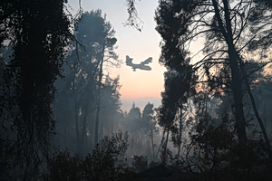 Halkidiki Wildfire Eases After Overnight Battle