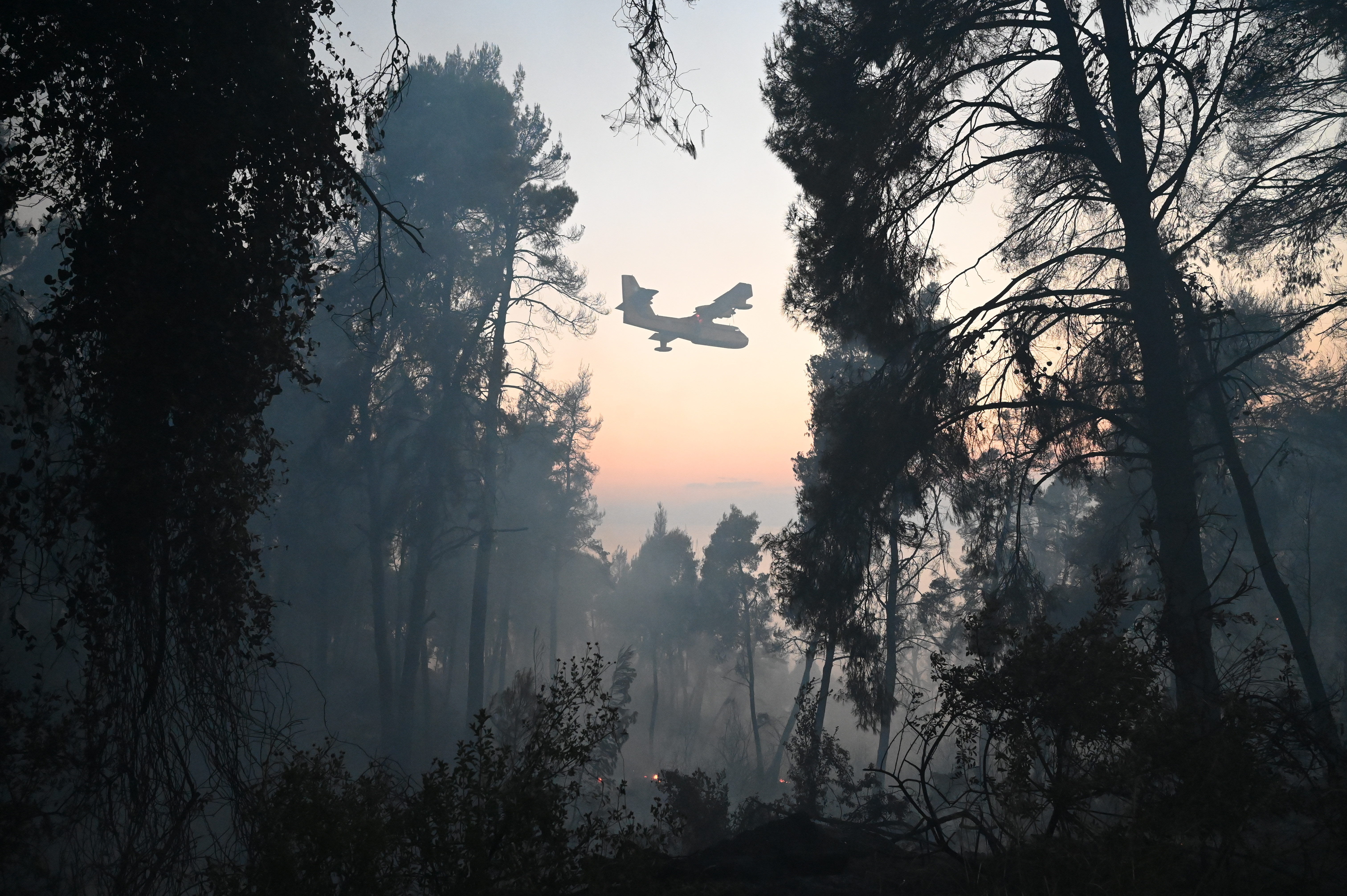 Halkidiki Wildfire Eases After Overnight Battle