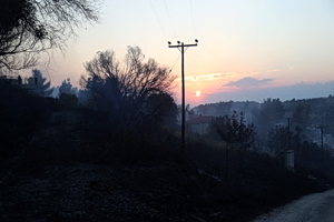 Power Pole Believed to Have Sparked Wildfire in Halkidiki (Vid)