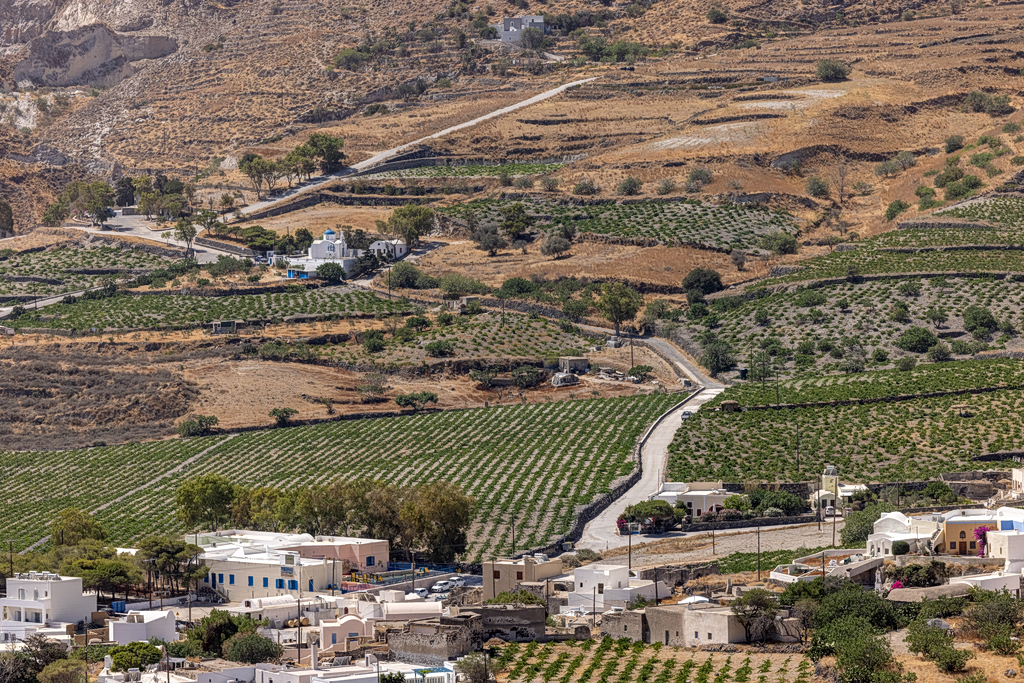Santorini Wine Production Slumps as Demand Keeps Rising