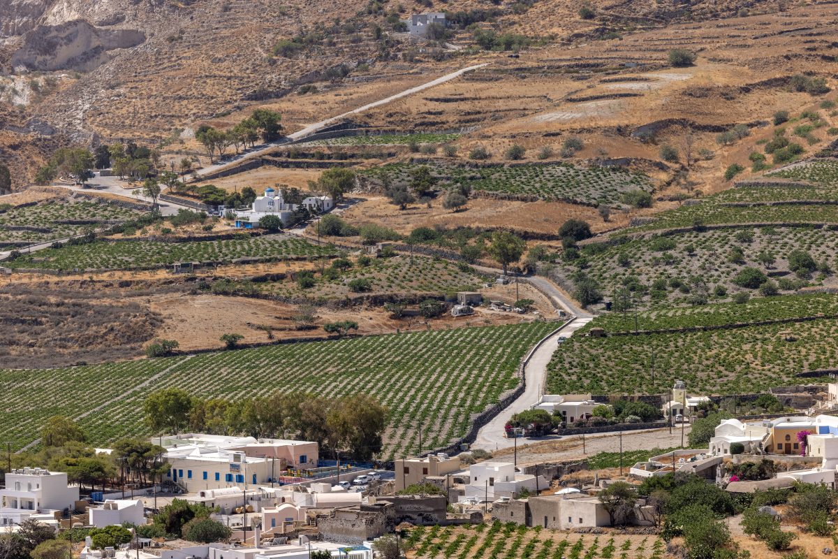 Santorini Wine Production Slumps as Demand Keeps Rising