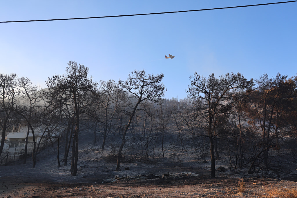 Salamina Wildfires: Victims Tried to Escape Through Ravine
