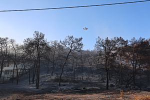 Salamina Wildfires: Victims Tried to Escape Through Ravine