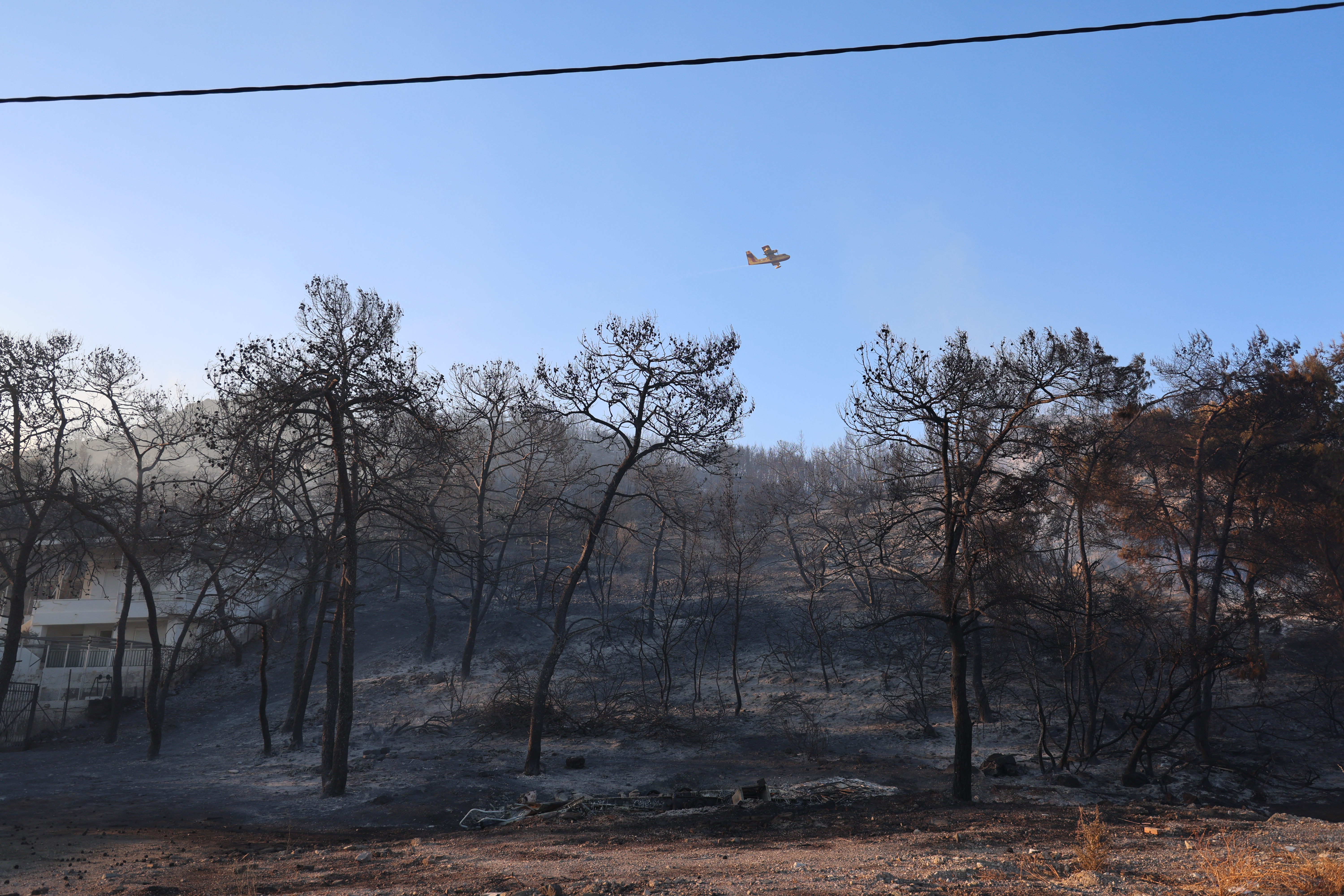 Salamina Wildfires: Victims Tried to Escape Through Ravine