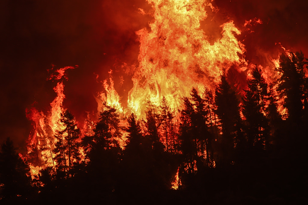 Northern Evia Rebuilds Five Years After 2021 Fires