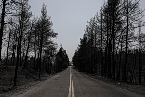 Northern Euboea Rebuilds Five Years After 2021 Fires