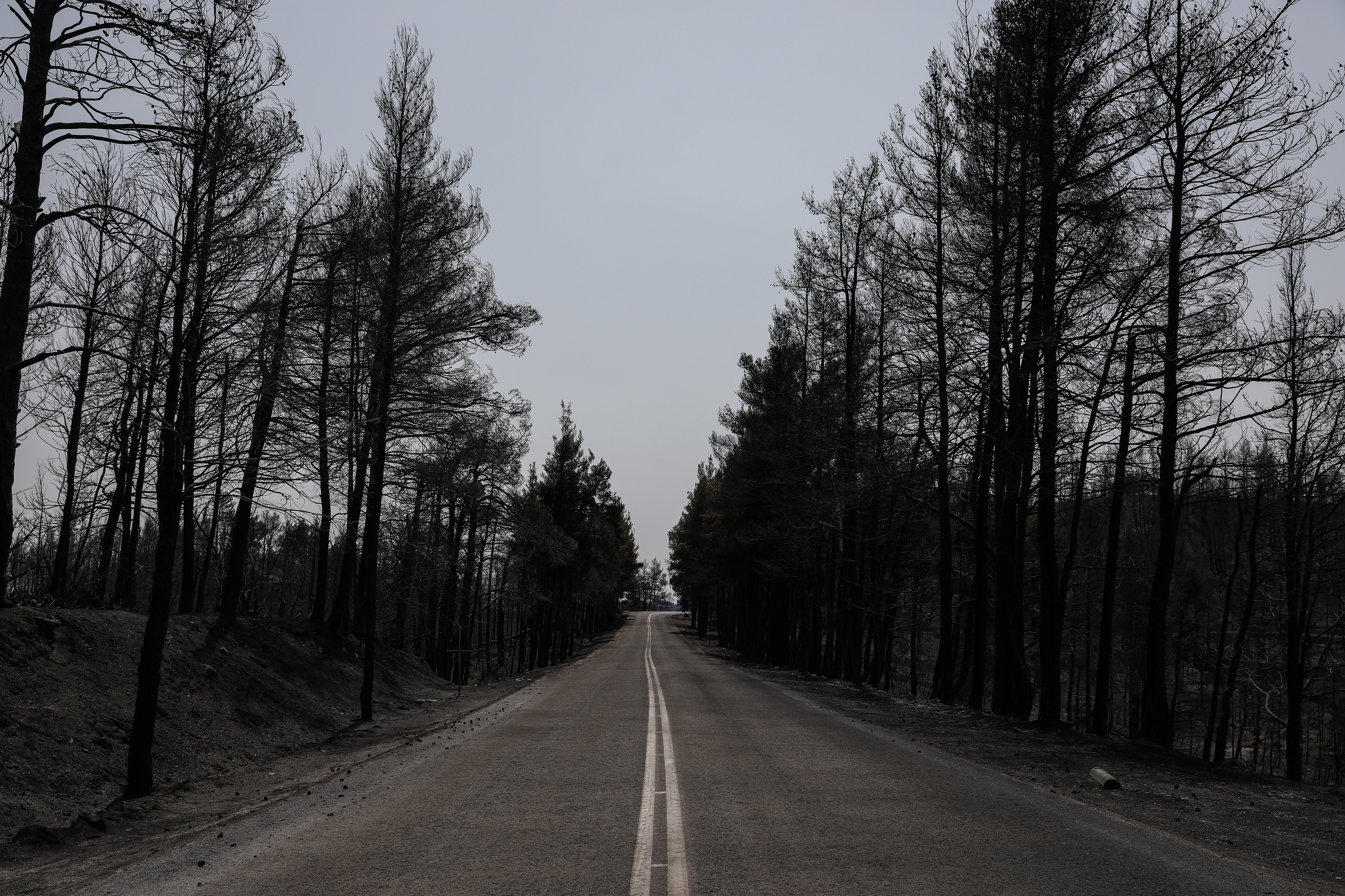 Northern Euboea Rebuilds Five Years After 2021 Fires