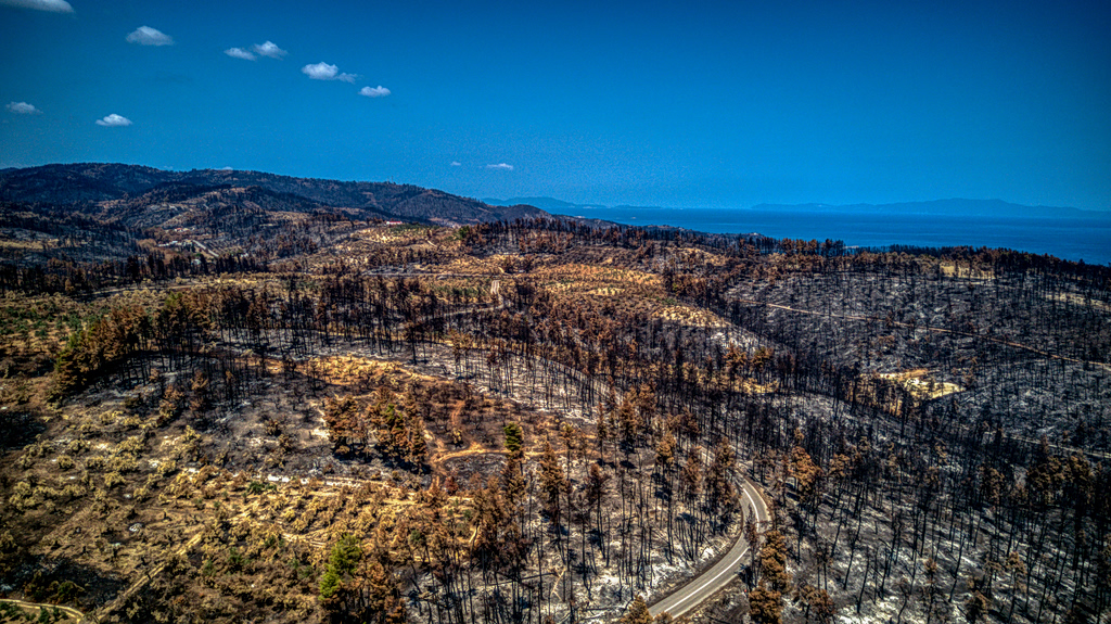 Northern Evia Rebuilds Five Years After 2021 Fires
