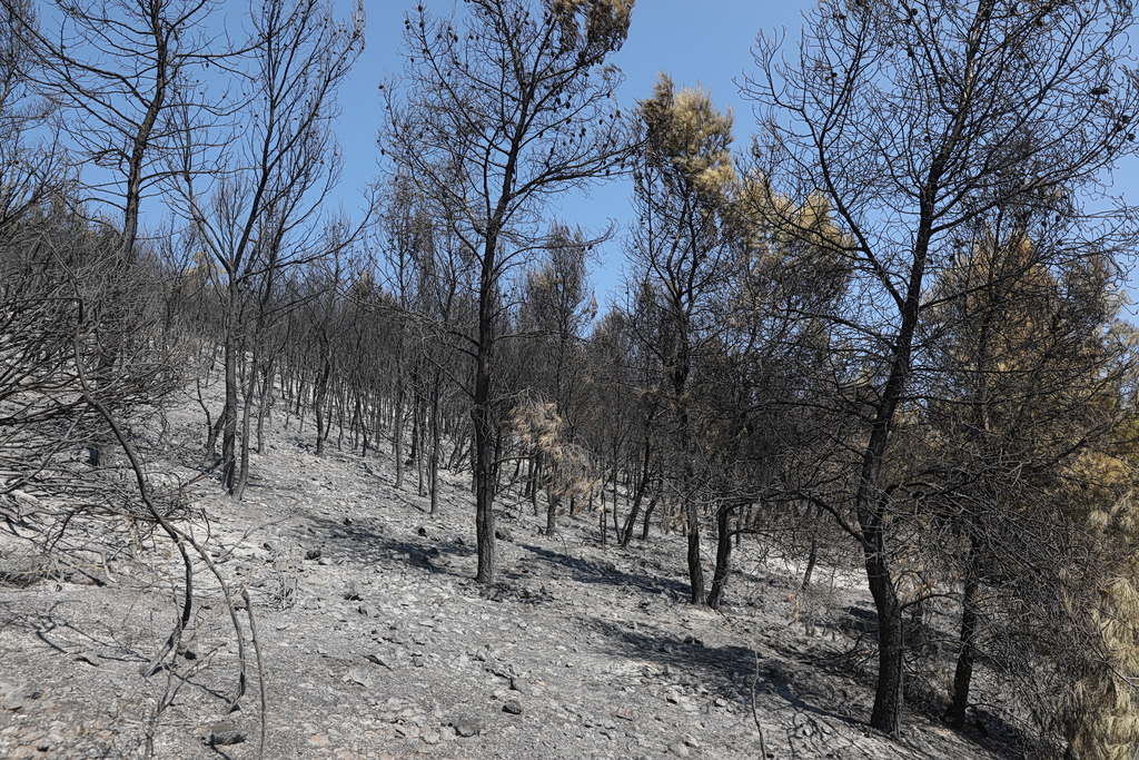 Salamina Fire Investigation Focuses on Two Separate Blazes