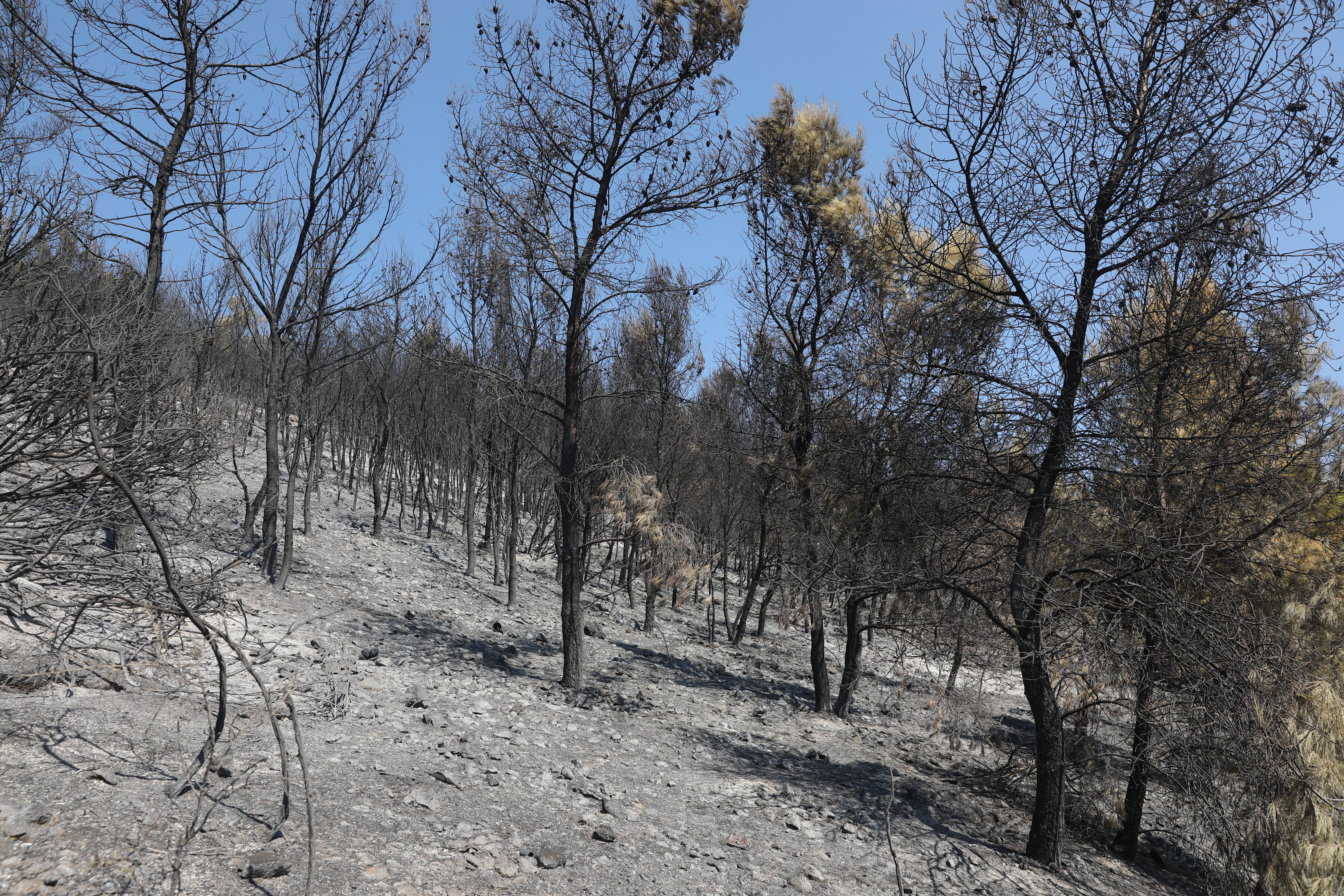 Salamina Fire Investigation Focuses on Two Separate Blazes