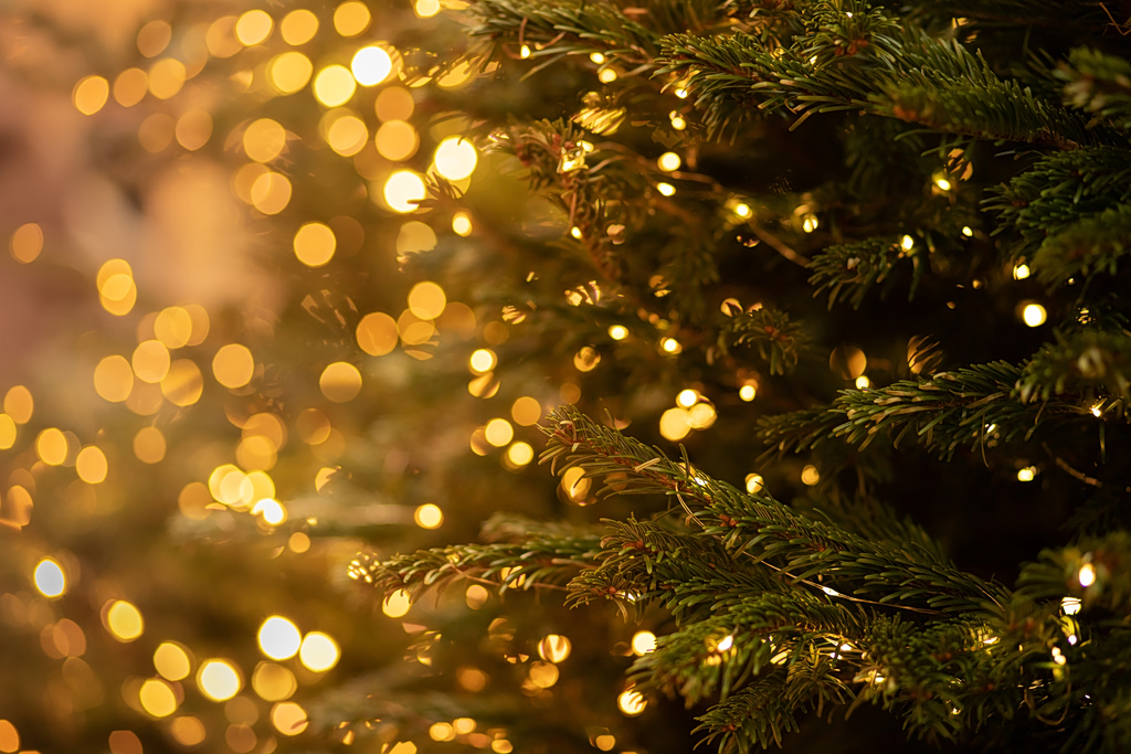 Ice Cream, Christmas Lights, and Gum Join EU ‘Critical’ List
