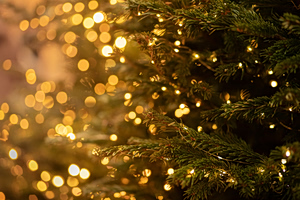 Ice Cream, Christmas Lights, and Gum Join EU ‘Critical’ List
