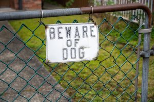 Crete: 7-Year-Old Hospitalized After Dog Attack