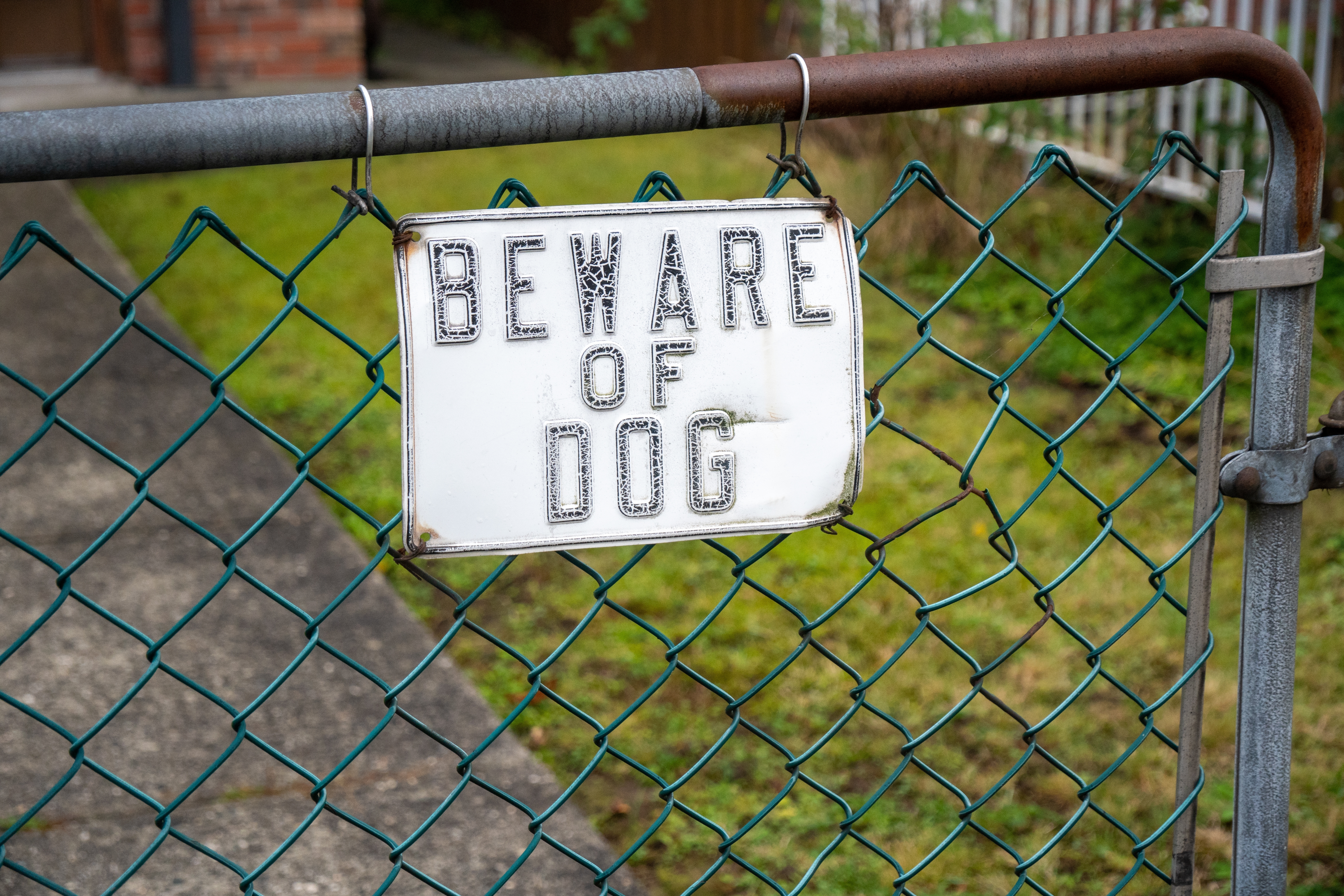 Crete: 7-Year-Old Hospitalized After Dog Attack